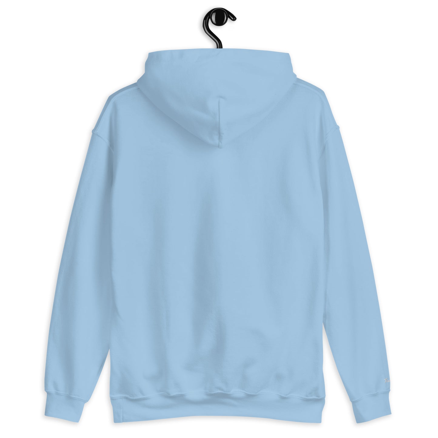 Saturn Unisex Hoodie (White)